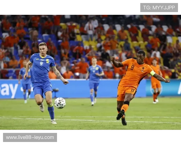 维纳尔杜姆：荷兰中场的进攻与防守双重担当